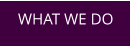 WHAT WE DO