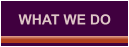 WHAT WE DO